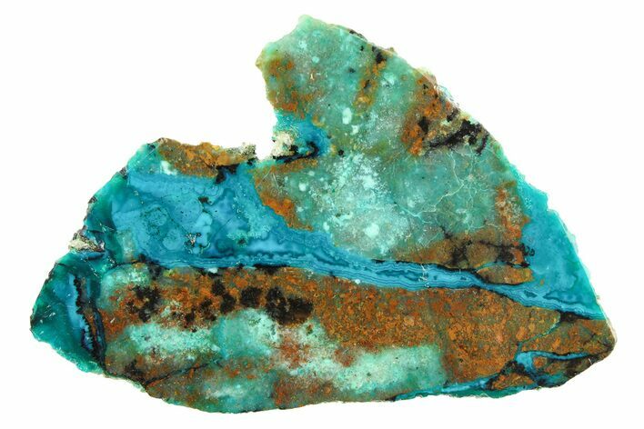 Polished Banded Chrysocolla Section - Bagdad Mine, Arizona #298447